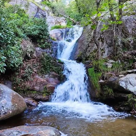 La Casa De Abuelos *