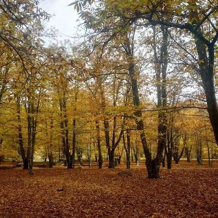 La Casa De Abuelos كاسياس