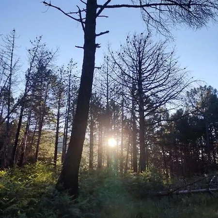 La Casa De Abuelos شقة