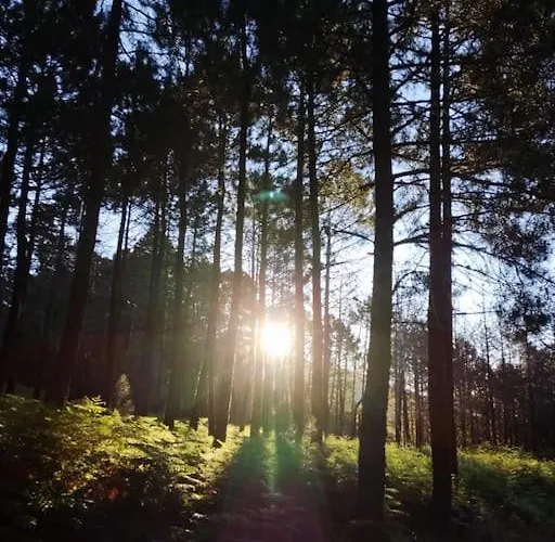 La Casa De Abuelos Apartman