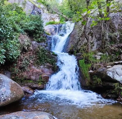 La Casa De Abuelos *
