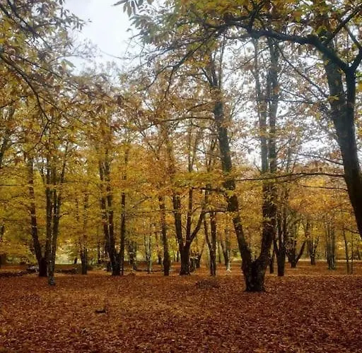 La Casa De Abuelos Casillas